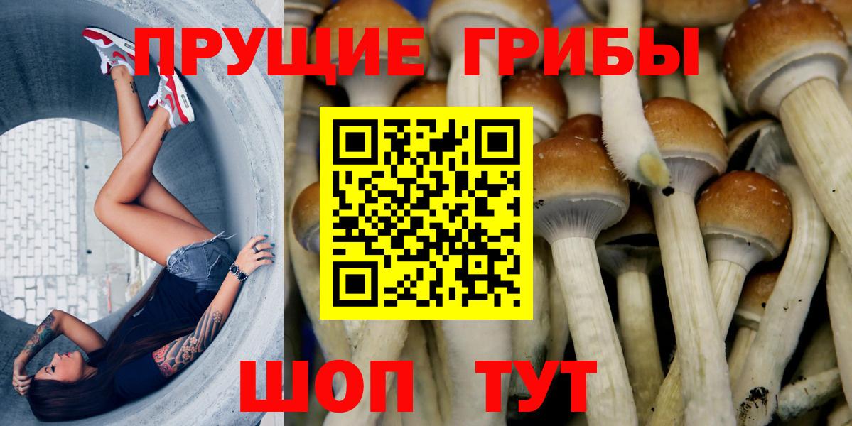 Псилоцибиновые грибы GOLDEN TEACHER Нижнекамск