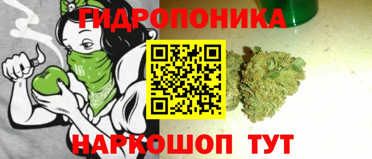 Каннабис SATIVA & INDICA  Бошки Шишки план  Конопля MAZAR  Вход с VPN  Нижнекамск 